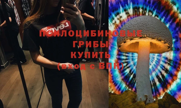 мяу мяу мука Бугульма