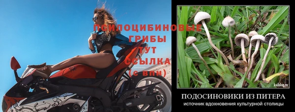mdpv Верея